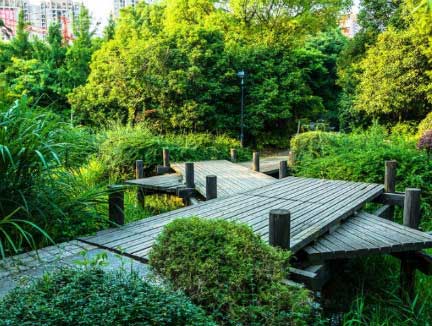 Jardin