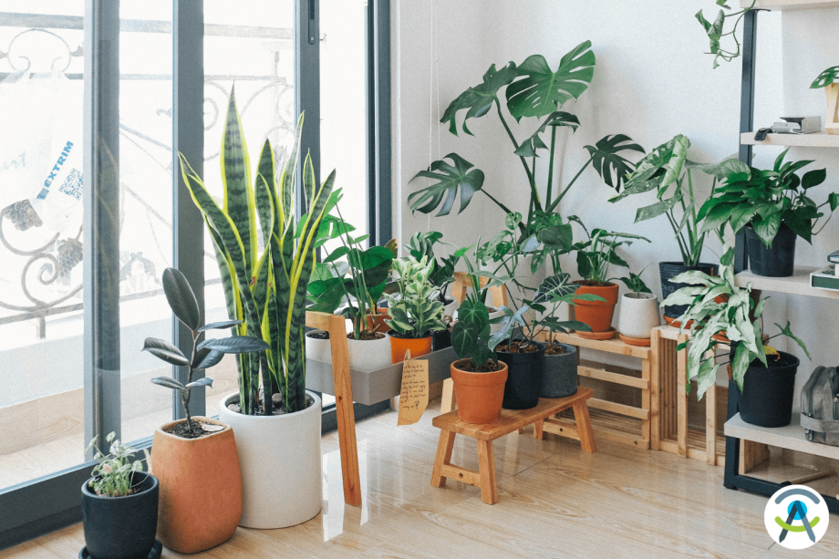 Intégrer un jardin intérieur chez soi