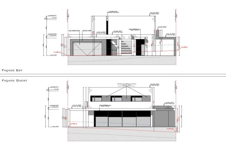 picture of Single-Family Homes and New Build 