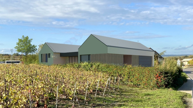Au coeur des vignes