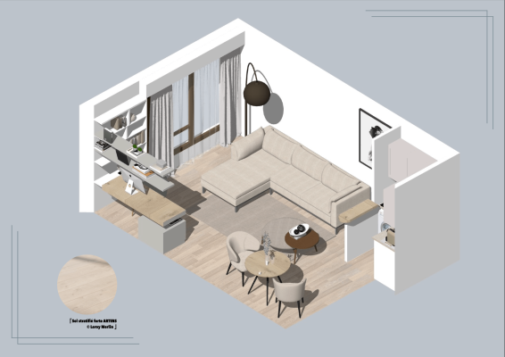 CONSEIL POUR UN APPARTEMENT 
