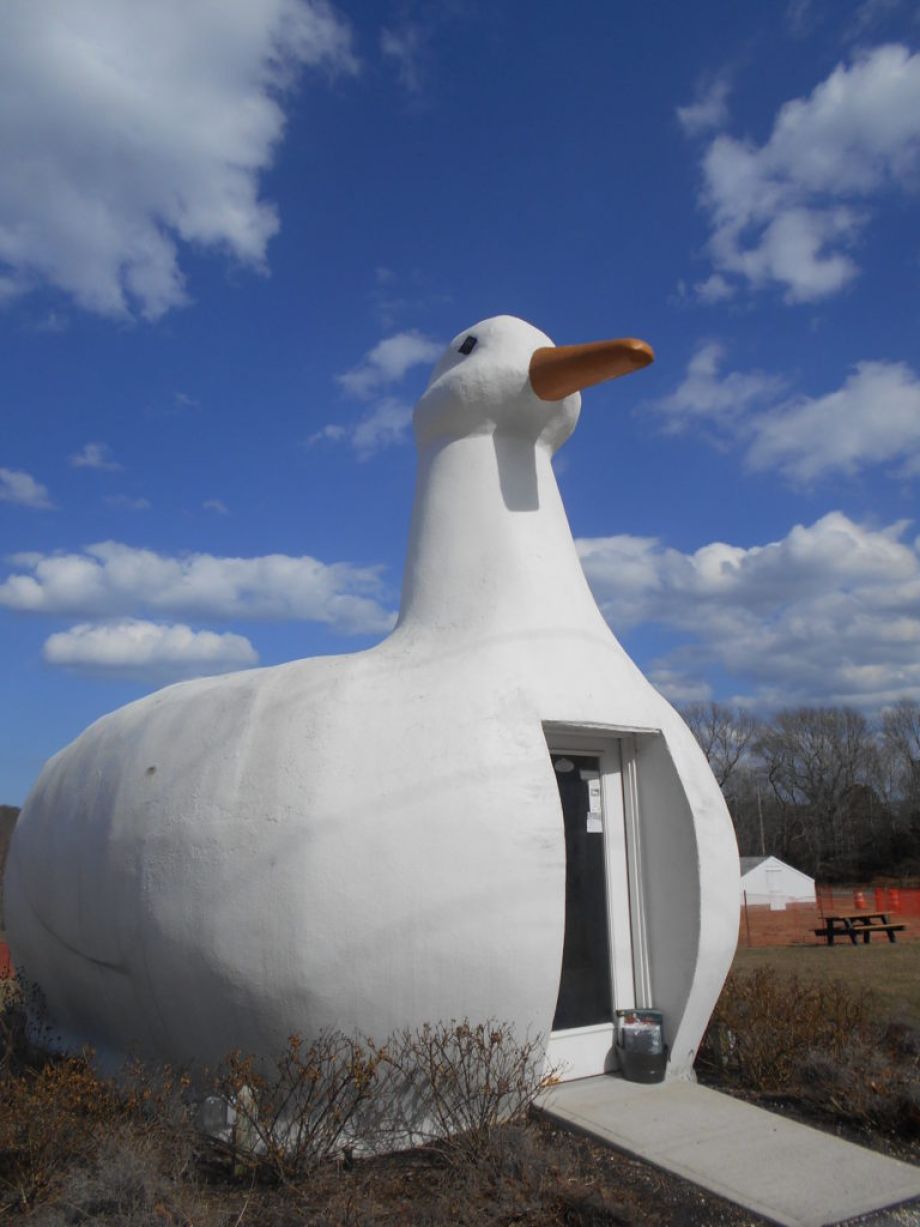 L'architecture canard, des constructions insolites.