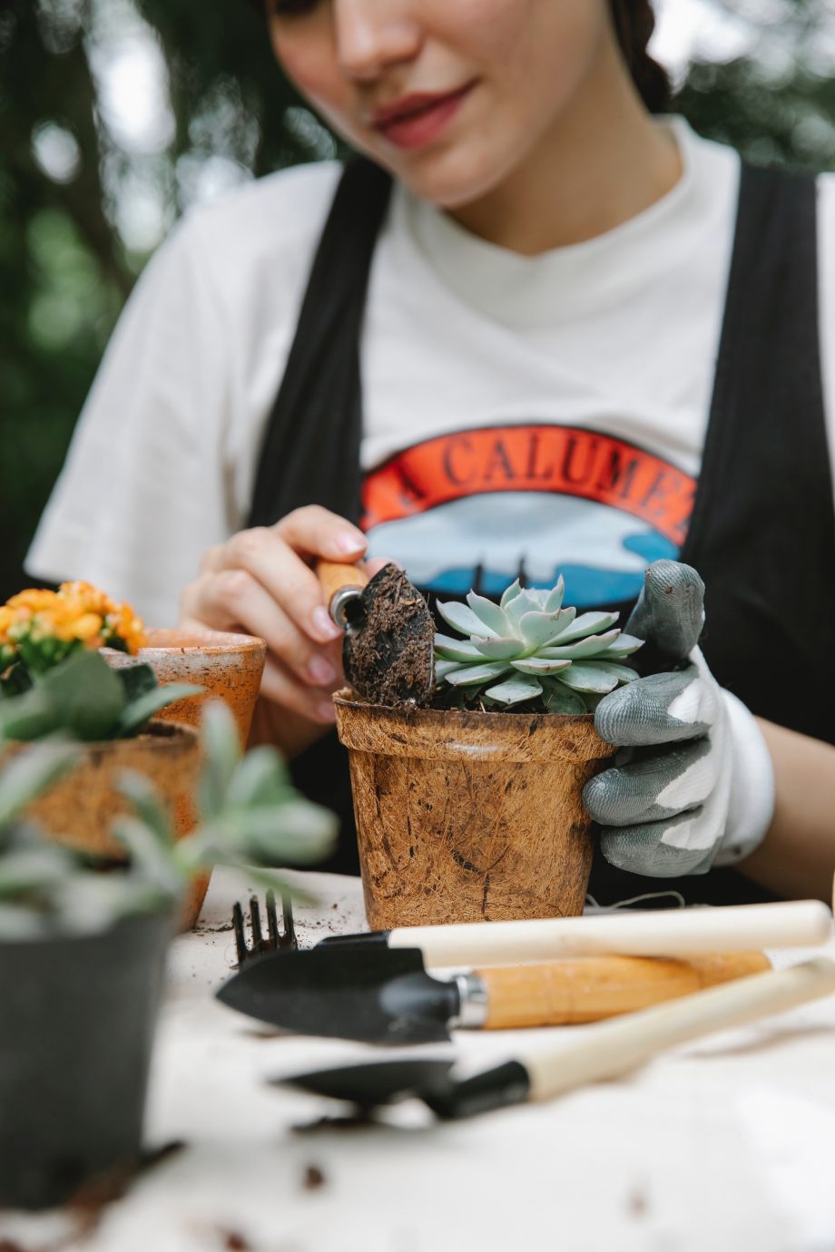 Intégrer un jardin intérieur chez soi 