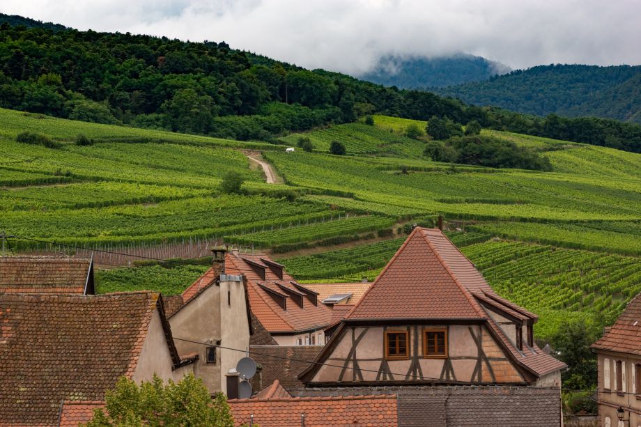 L'architecture en Alsace