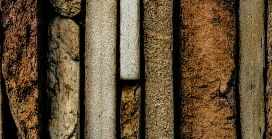 Tout savoir sur les matériaux biosourcés dans l’architecture et la construction