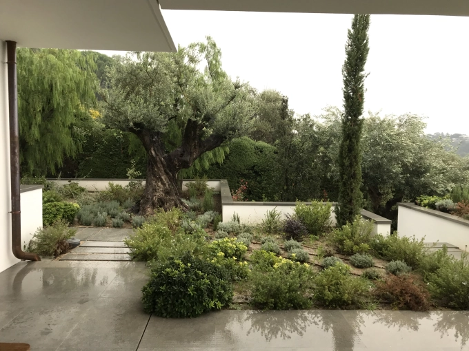 Jardin, Extérieur, Plan, Suivi de chantier