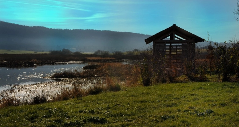 New Build, Tiny house, contemporary