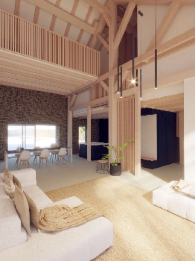 Conversion, Renovation, Townhouses, Restoration, contemporary