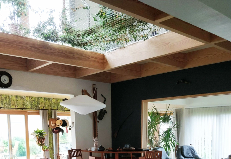 Passive House / Eco-friendly, New Build, Futuristic