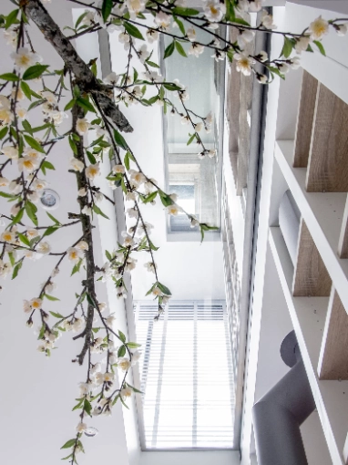 Surélévation, Maison individuelle, Rénovation, Maison de ville, Architecture d’intérieur, Contemporain, Minimaliste