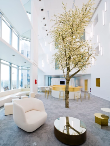 Bâtiment professionnel, Bureau, Architecture d’intérieur, Contemporain, Minimaliste