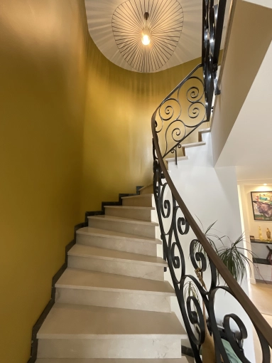 Single-Family Homes, Renovation, contemporary, Modern