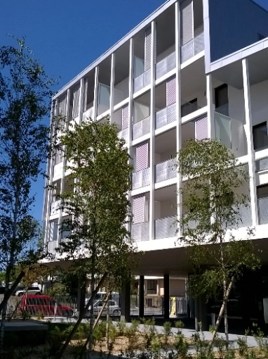 Jardin, Terrasse, Exterieur, Appartement, Résidentiel collectif, Architecture d’intérieur, Construction neuve, Moderne