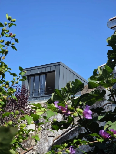 Vertical expension, Single-Family Homes, Renovation, Townhouses, contemporary, Modern