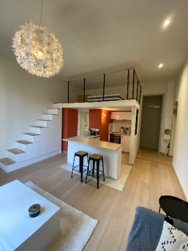 Apartment, Renovation, contemporary