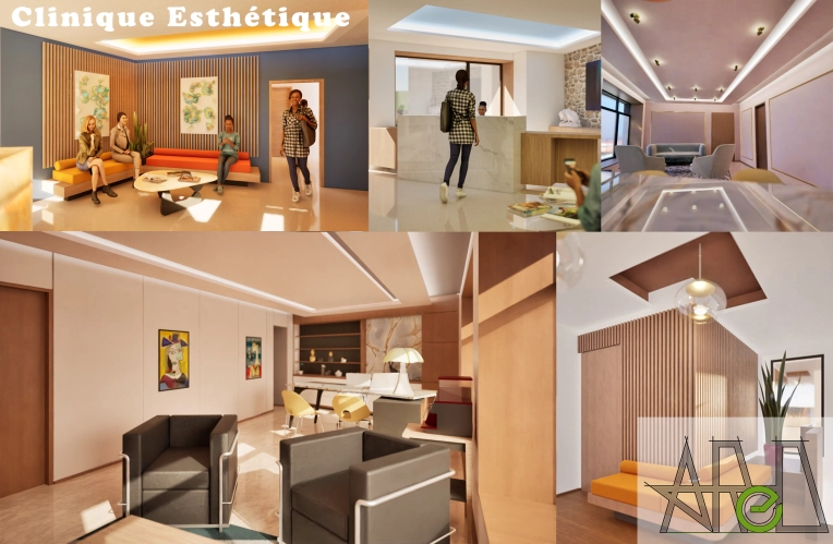 Public Access Buildings, Renovation, contemporary
