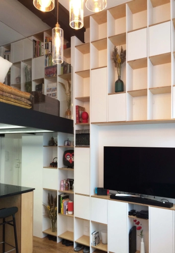 Apartment, Renovation, contemporary