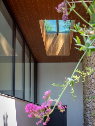 Renovation, Townhouses, Extension, contemporary, Modern