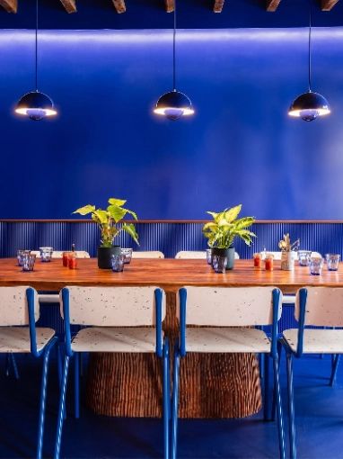 Hotels - Restaurants, Renovation, Interior Architecture & Design, contemporary
