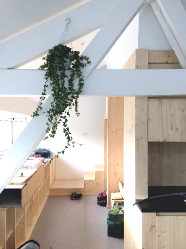 Apartment, Renovation, Interior Architecture & Design, Restoration, Attic, contemporary, Modern