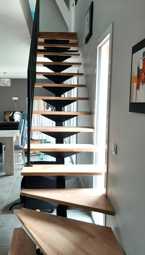 Single-Family Homes, Renovation, Modern