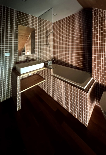 Single-Family Homes, Renovation, Interior Architecture & Design, contemporary, Modern