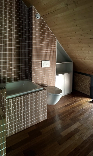 Single-Family Homes, Renovation, Interior Architecture & Design, contemporary, Modern