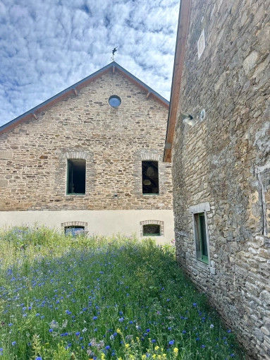 Jardin, Extérieur, Contemporain