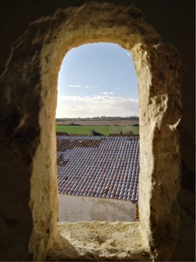 Assistance à la maitrise d'ouvrage, Hôtellerie - Restauration, Bâtiment agricole, Réhabilitation, Moderne, Traditionnel