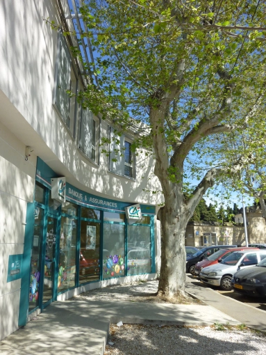 Commerce, Construction neuve, Plan, Permis de construire, Suivi de chantier, Conseil
