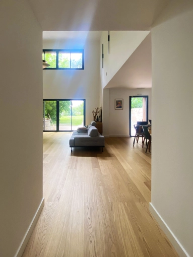 Vertical expension, Single-Family Homes, contemporary