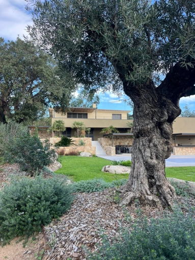 Single-Family Homes, Renovation, Extension, Villa, contemporary