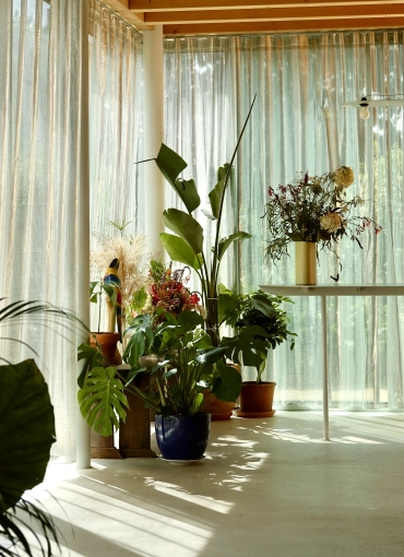 Passive House / Eco-friendly, New Build, Modern, Traditional, Minimalist