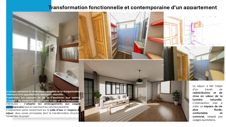 Transformation, Assistance à la maitrise d'ouvrage, Appartement, Rénovation, Réhabilitation, Plan, Suivi de chantier, Conseil