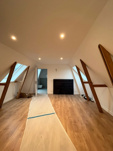 Conversion, Single-Family Homes, Renovation, Townhouses, Attic, contemporary