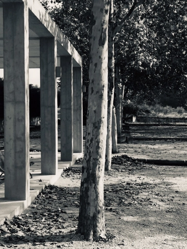 Bâtiment accueillant du public (ERP), Construction neuve, Plan, Permis de construire, Suivi de chantier