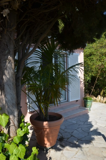 Single-Family Homes, Chalets / Wooden Houses, Extension, Design / Plans, Building permits