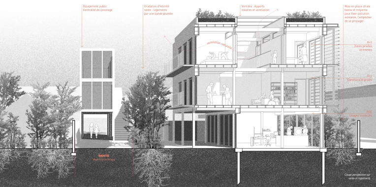 Résidentiel collectif, Construction neuve, Étude de faisabilité, Plan, Conseil
