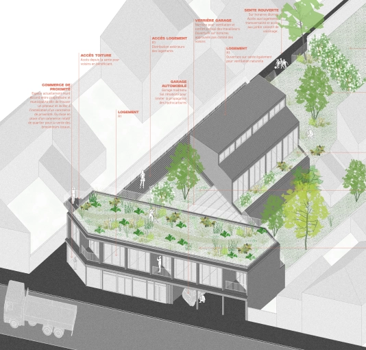 Transformation, Bâtiment professionnel, Rénovation, Étude de faisabilité, Réhabilitation, Plan, Conseil