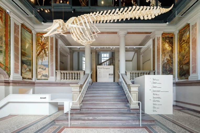 Historical / Listed Buildings, Restoration, Design / Plans, Building permits, Construction Management