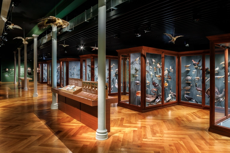 Historical / Listed Buildings, Restoration, Design / Plans, Building permits, Construction Management