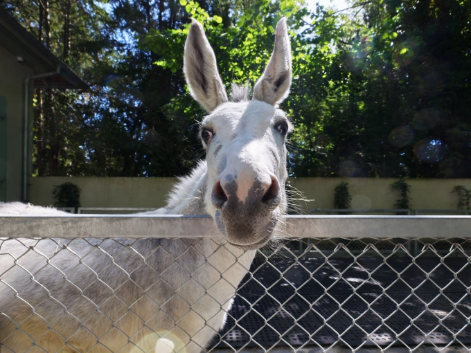 Conversion, Commercial - industrial, Agricultural Buildings, New Build, Design / Plans, Building permits, Construction Management