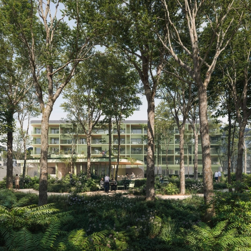 Jardin, Résidentiel collectif, Construction neuve, Étude de faisabilité, Plan, Permis de construire, Conseil